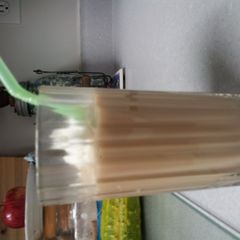 A picture of Mock ice cream float.