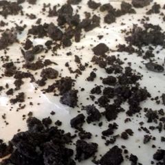 A picture of Oreo Torte.