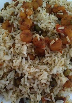 عکسی از دستور میگوپلو