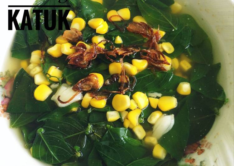 Resep Sayur Bening Katuk 🌿 Anti Gagal