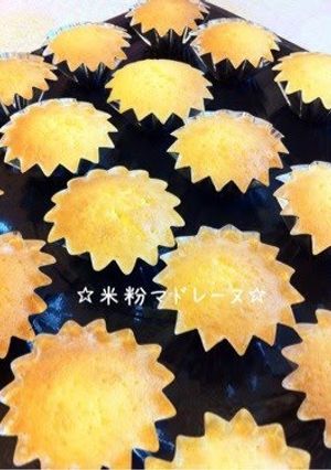 A picture of Rice Flour Madeleines.