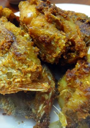 A picture of Yellow Fried Fish.