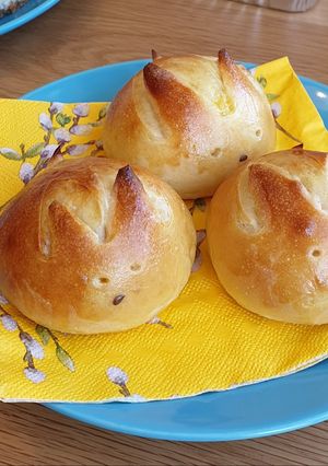 A picture of Bunny buns.