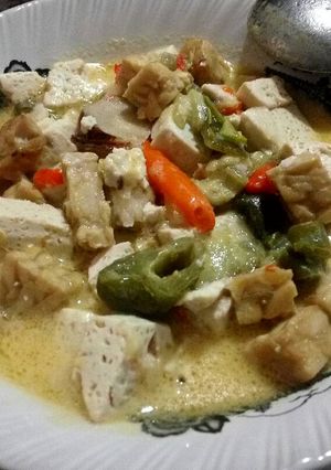 Foto resep Sayur tahu tempe