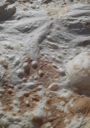عکسی از دستور نان تنوری