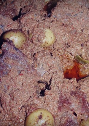 A picture of West Sumatran Rendang (Beef Curry).