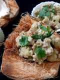 Phulkopir Dab Malai/ Malai Cauliflower with Green Coconut
