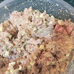 A picture of Bad Teacher Tuna Salad.