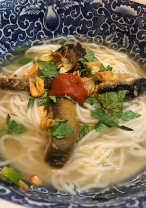 Hình của món Bún, miến lươn.