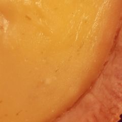 Lime Custard Pie A picture of Lime Custard Pie.