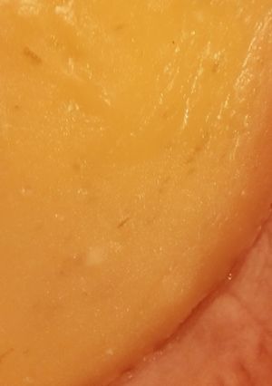 A picture of Lime Custard Pie.