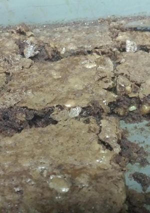 A picture of chocolate milk brownies with walnuts.