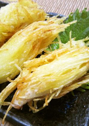 A picture of My Beloved Fries.