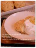 Crispy Scones without Baking Powder