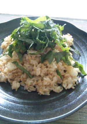 A picture of Easy & Simple Garlic Fried Rice.