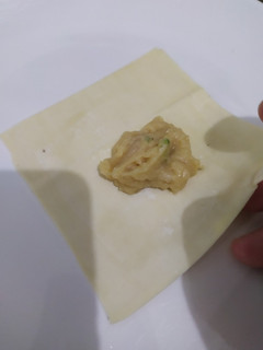 Foto resep Isian Kulit Pangsit Goreng/Rebus