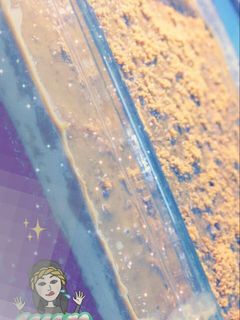 صورة لوصفة حلا اللوتس