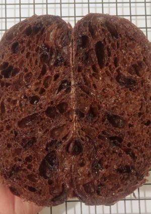 Foto resep Brownie Sourdough Bread (Open Bake Method)