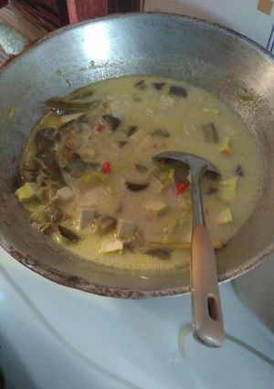 Foto resep Lodeh campur-campur