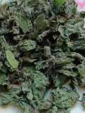 Homemade Dry Mint 🌿🌿