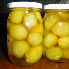A picture of Notes on Candied Chestnuts.