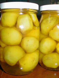 A picture of Notes on Candied Chestnuts.