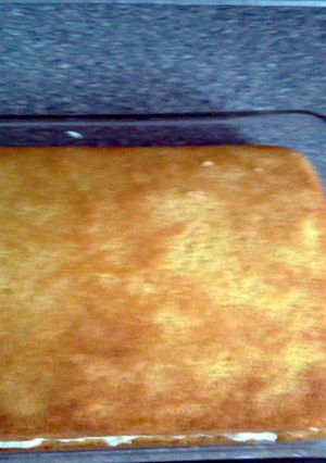 A picture of Homemade Twinkies.