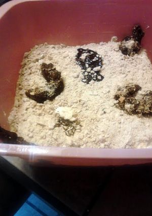 A picture of Kitty Litter Cake ~ halloween.