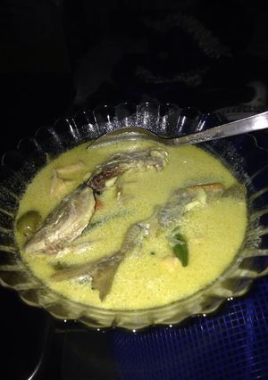 Foto resep Ikan masak santan
