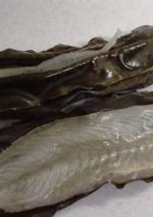 A picture of Kombu-Marinated Flounder.