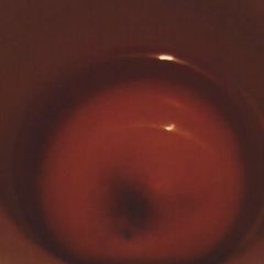 A picture of No sore throught tea.