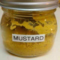A picture of Mustard.
