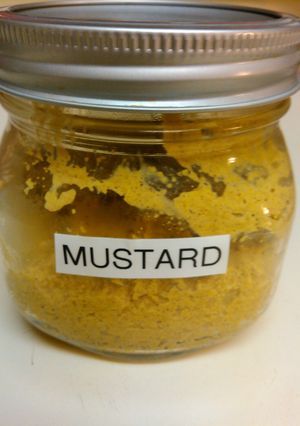 A picture of Mustard.