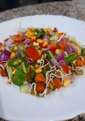 A picture of Mixed Sprout Salad.