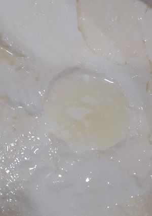 عکسی از دستور ماست خانگی