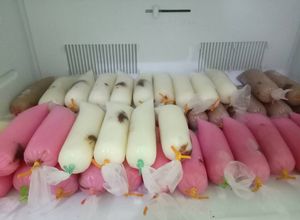 Foto resep Es Lilin Susu Coki2 Milo Stroberi yummy