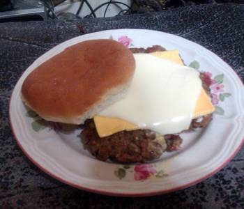 New Recipe Four Star Hamburgers Delicious and Healthy