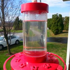 A picture of ♥ Hummingbird Food ♥.