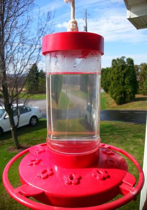 A picture of ♥ Hummingbird Food ♥.