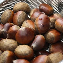 Boiled Chestnuts Using a Pressure Cooker A picture of Boiled Chestnuts Using a Pressure Cooker.
