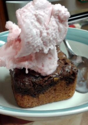 A picture of Brownie Brick.