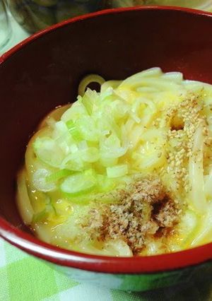 A picture of Basic Kamatama Udon.