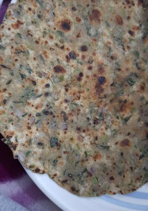 A picture of Methi paratha.