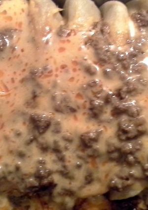 A picture of beef enchiladas.