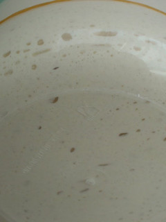 A picture of Sake Lees Yeast ② - Liquid Bread Starter.