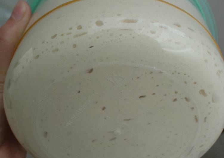 Step-by-Step Guide to Prepare Speedy Sake Lees Yeast ② - Liquid Bread Starter
