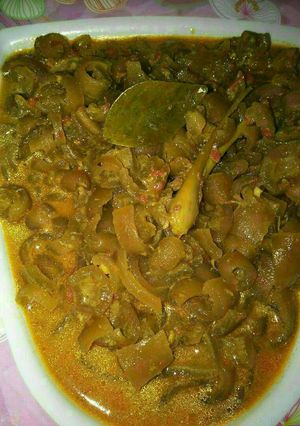 Foto resep Gulai kikil
