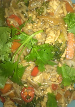 A picture of Turkey noodle stir-fry.