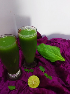 દૂધી - પાલક નું જ્યુસ (dudhi - palak nu juice recipe in Gujarati) રેસીપી મુખ્ય ફોટો