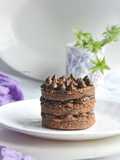 Avacado chocolate cake with avacado chocolate cream